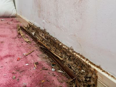 About Precision Mitigation - water damage restoration experts in Oshawa